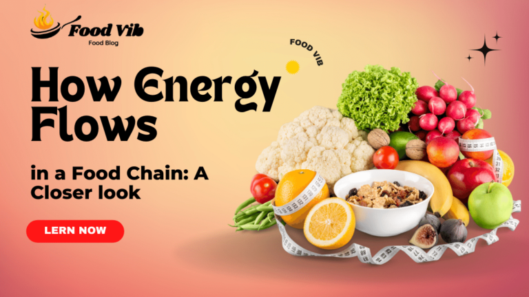 Energy Flows in a Food